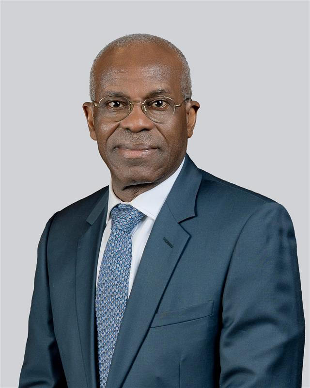 Fatona urges FG to diversify resources, build resilience amid energy ...